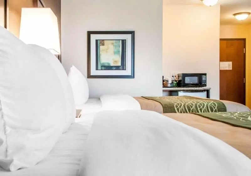 キングサイズベッドのスイートルーム, Comfort Inn & Suites Woodward