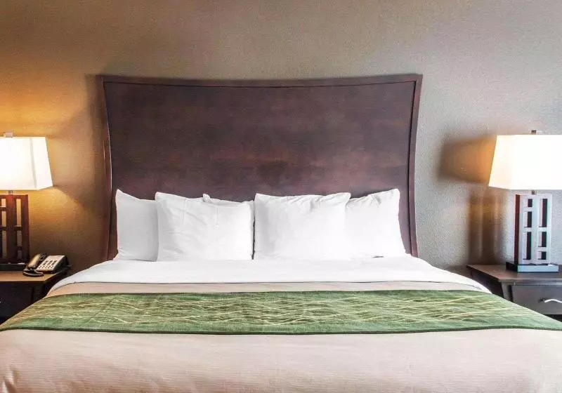 キングサイズベッドのスイートルーム, Comfort Inn & Suites Woodward