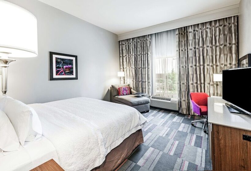 장애인을 위한 킹사이즈 침대 스탠다드 룸, Hampton Inn North Little Rock Mccain Mall