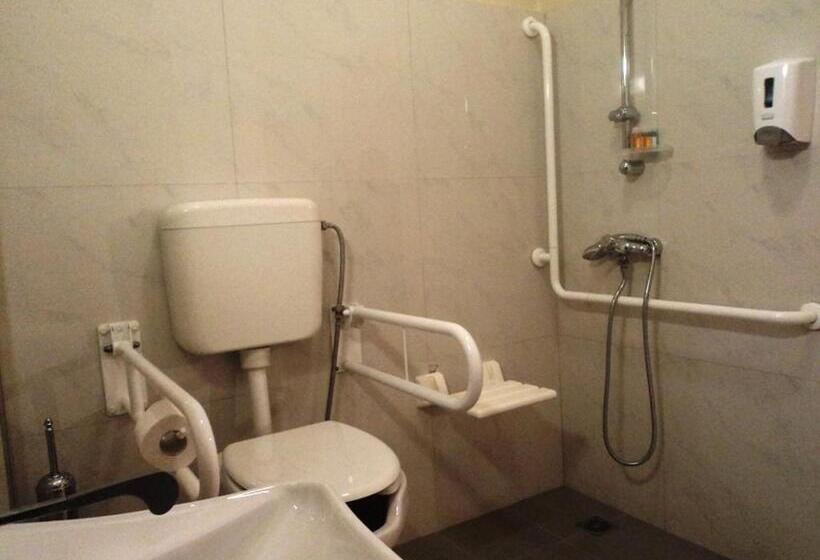 Quarto Estandar para Deficientes Físicos, Maistrali