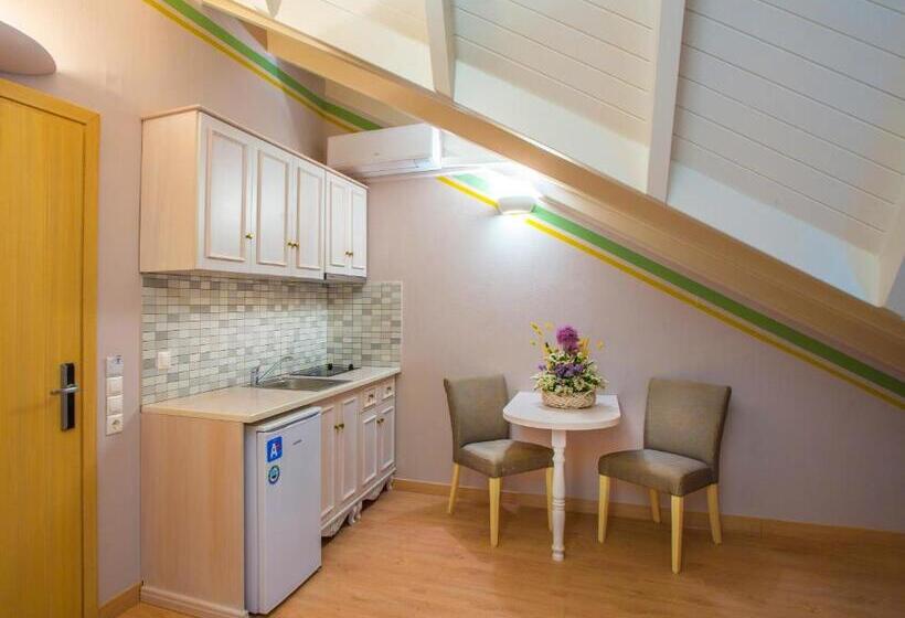 1침실 펜트하우스 아파트, Maistrali