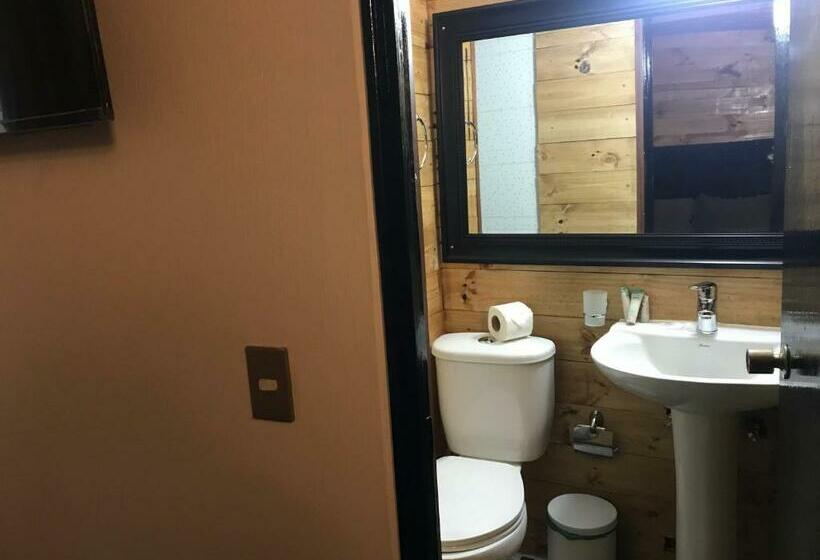 标准间, Santiago Bellas Artes