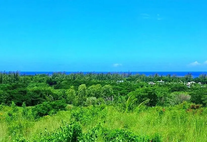 اتاق استاندارد با چشم‌انداز باغ, Bel Ombre S Panoramic View