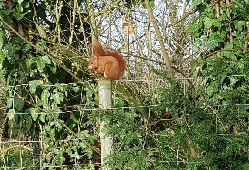 스탠다드 룸, Guestroom Port Saint Père, 1 Pièce, 2 Personnes   Fr 1 306 1237