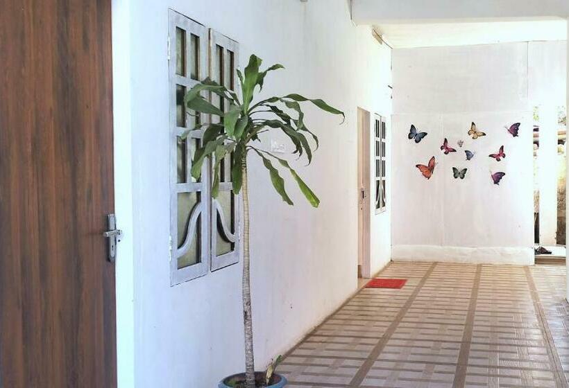 Номер Стандарт, The Paradise View Stay