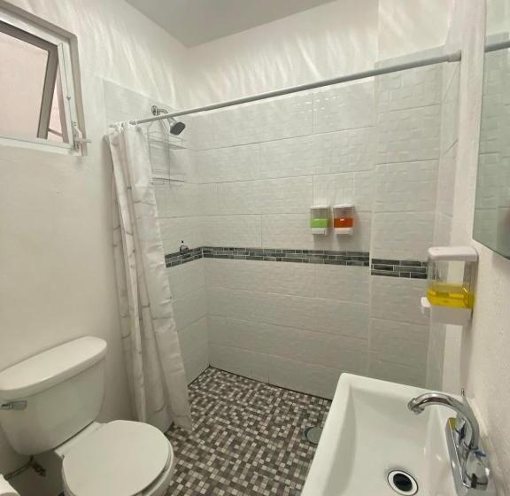 اتاق لوکس, Posada Jardín Aguascalientes