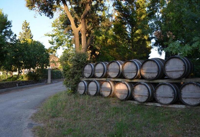 标准间, Room In Guest Room   Guest Room In The Heart Of The Vineyard