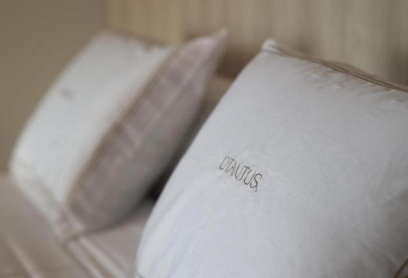 اتاق لوکس با بالکن و چشمانداز دریا, Otantus