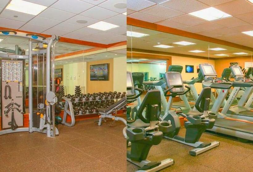 Апартаменты 1 Спальня Вид на Море, Maui Westside Presents: Whaler 420   Best Location In Kaanapali Beach