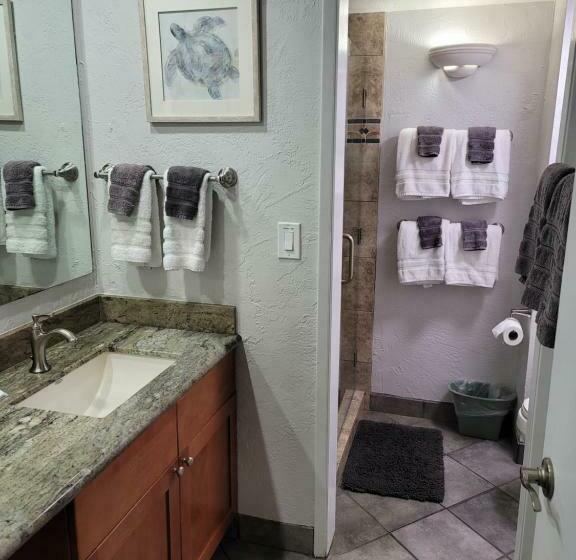 Апартаменты Пентхаус 1 Спальня, Papakea Resort G406