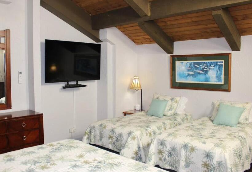 Апартаменты Пентхаус 1 Спальня, Papakea Resort G406