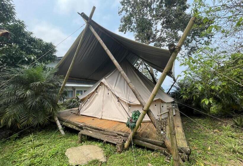 اتاق سوپریور, Bakhan Viewest Glamping