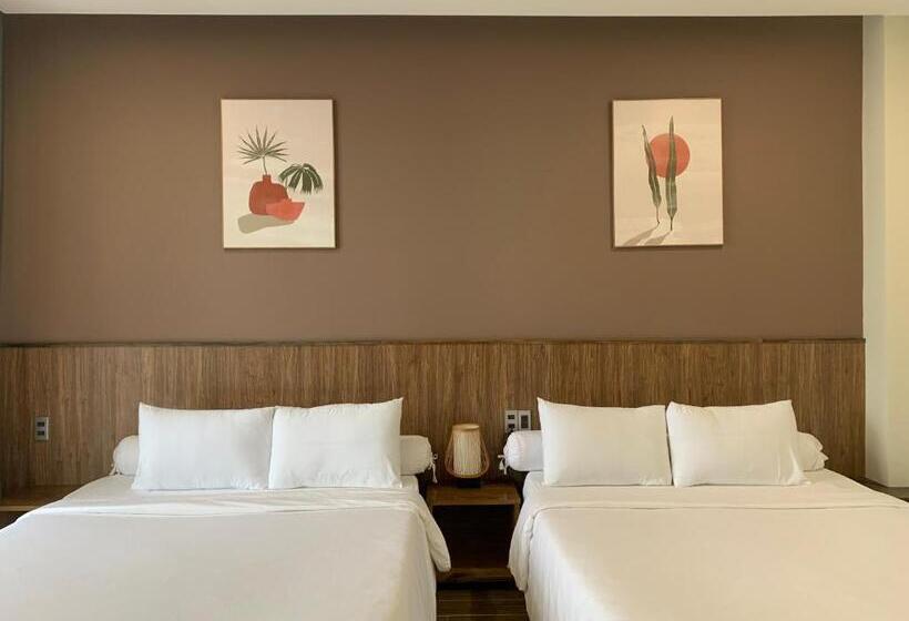 اتاق استاندارد چهار تخته, đồi Mây Tuyết