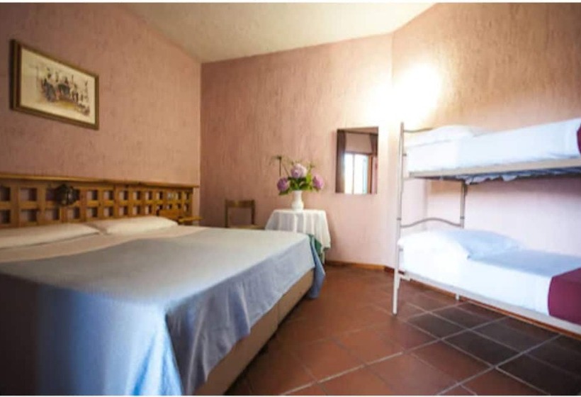 Четырехместный Номер Стандарт, Scintilla