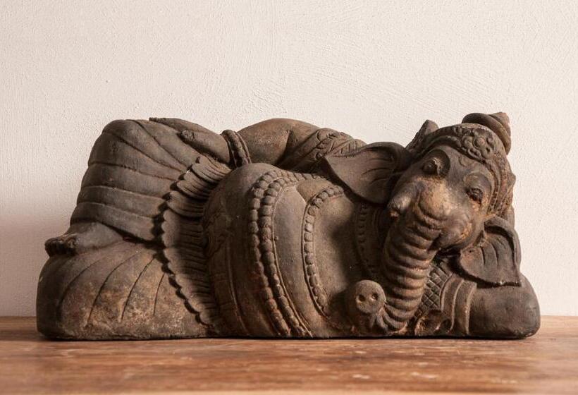 חדר קומפורט, Seven Maze Charming House