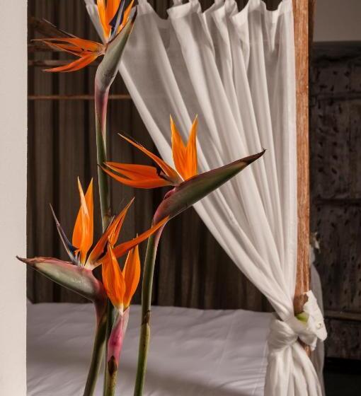 חדר קומפורט, Seven Maze Charming House