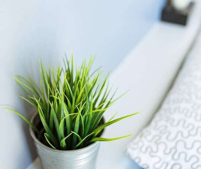 חדר סטנדרט, The Beach Cha Am Guest House