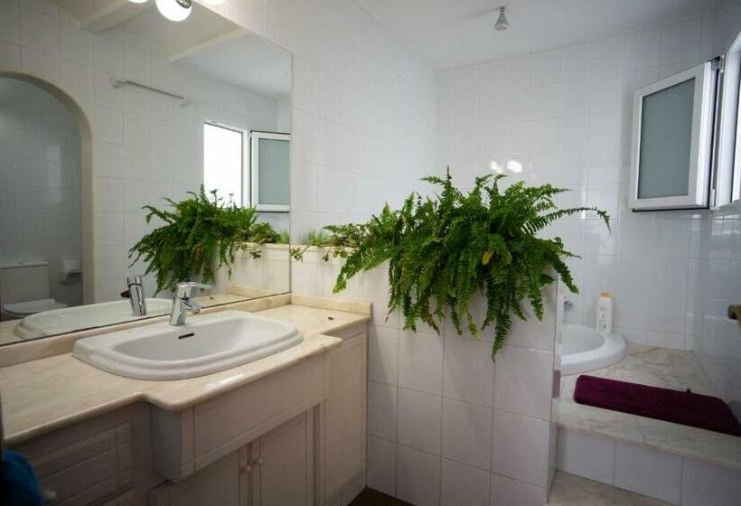 豪华房间, Residencial Art Brut