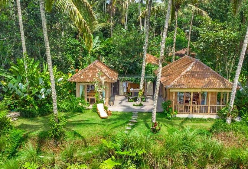 高级套房, Dewi Tara Haven