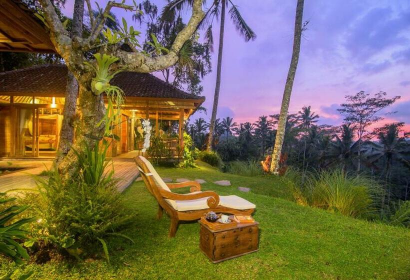 高级套房, Dewi Tara Haven