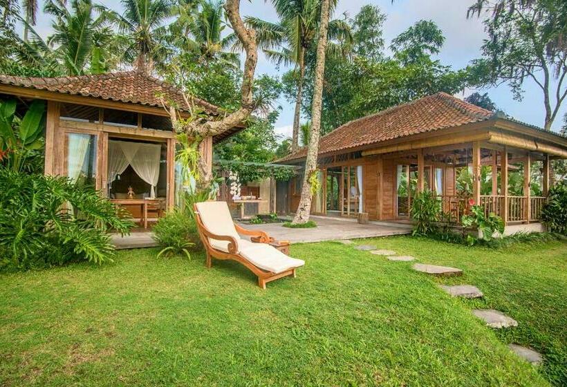 高级套房, Dewi Tara Haven