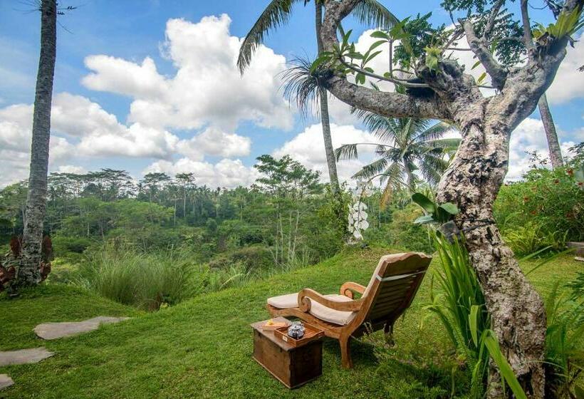 高级套房, Dewi Tara Haven