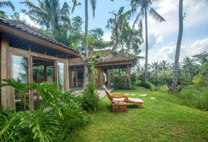 高级套房, Dewi Tara Haven