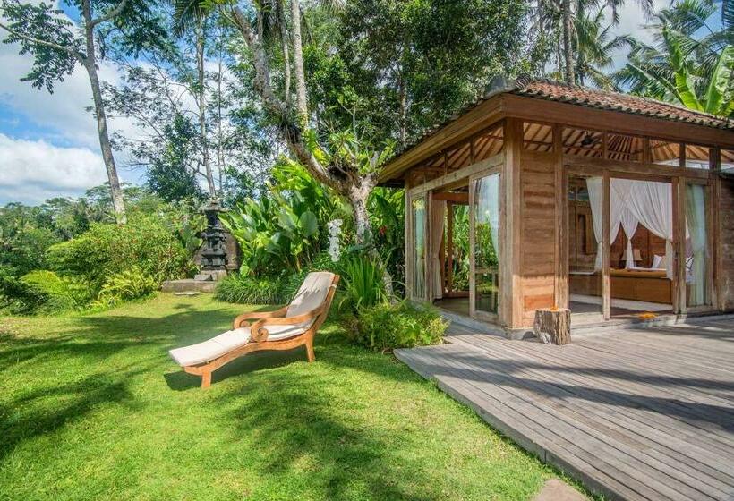 高级套房, Dewi Tara Haven