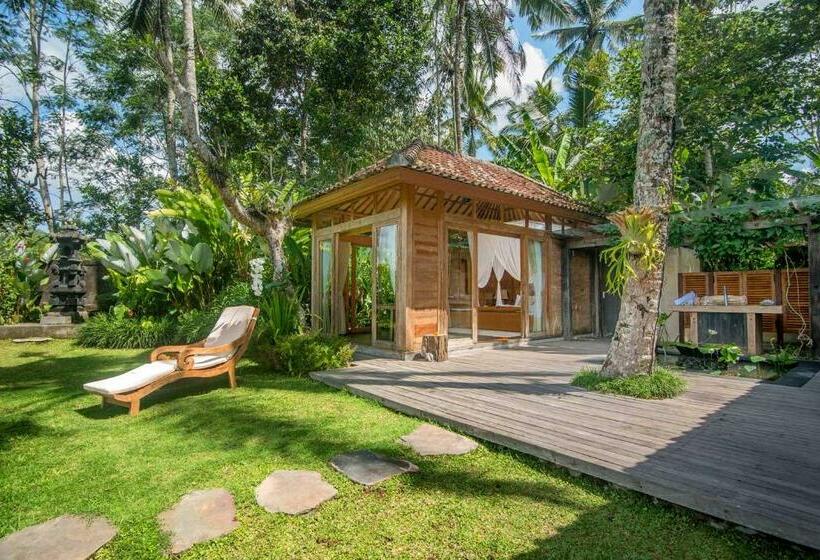 高级套房, Dewi Tara Haven