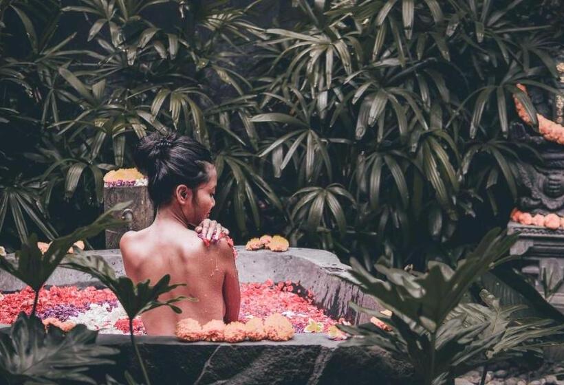 高级套房, Dewi Tara Haven