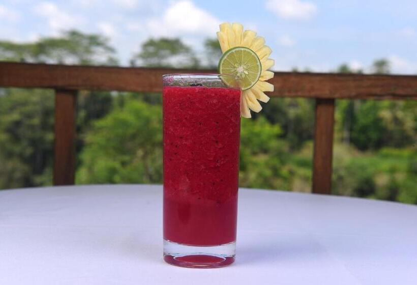 高级套房, Dewi Tara Haven