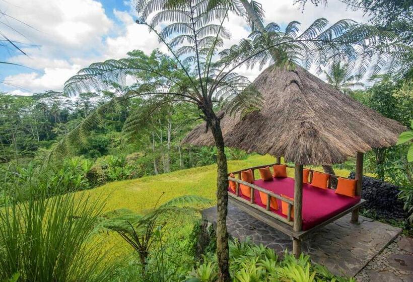 高级套房, Dewi Tara Haven