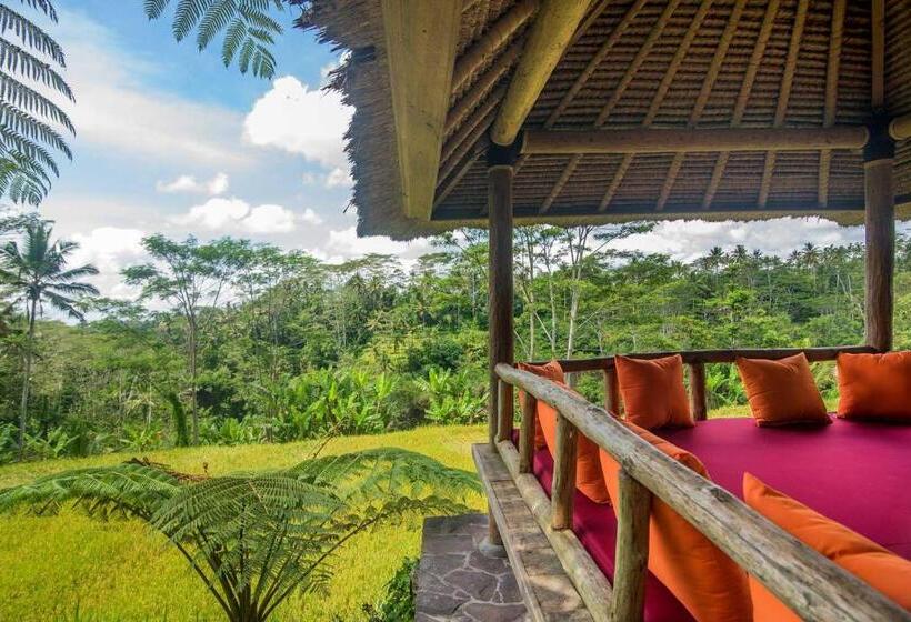 高级套房, Dewi Tara Haven