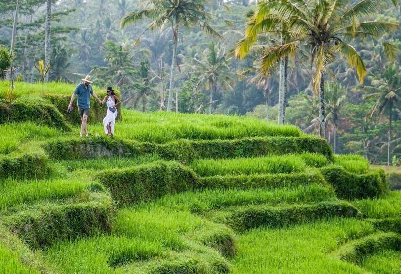 带1个卧室的别墅, Dewi Tara Haven