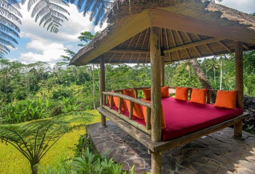 高级套房, Dewi Tara Haven