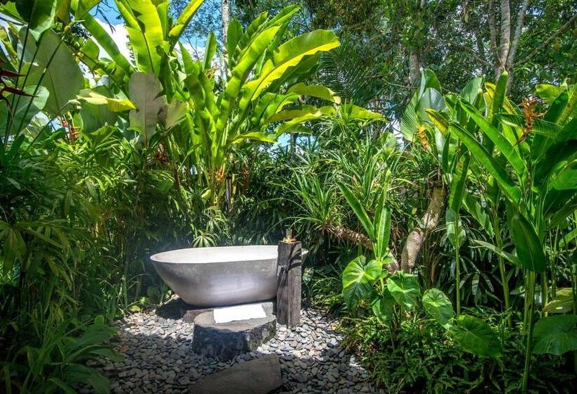 高级套房, Dewi Tara Haven