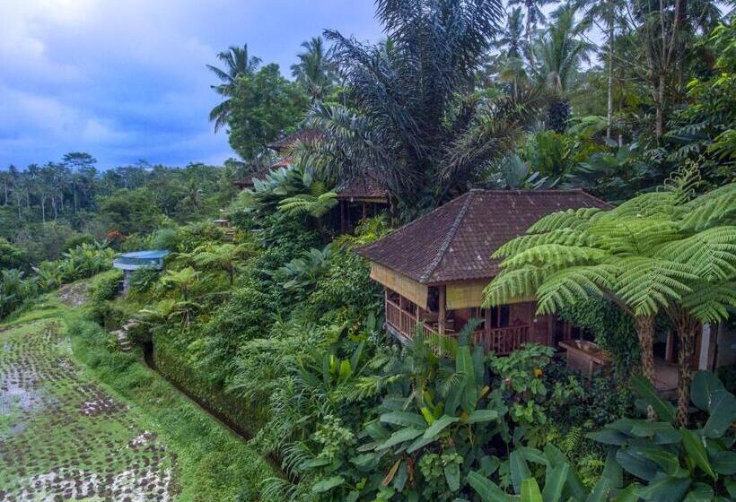 带1个卧室的别墅, Dewi Tara Haven