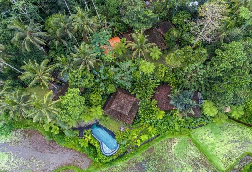 带花园景观和一个卧室的别墅, Dewi Tara Haven