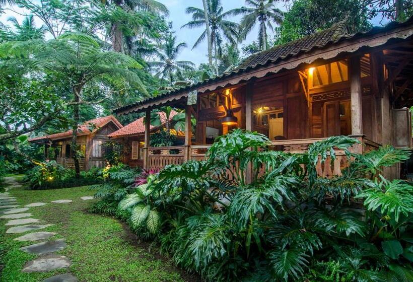 带花园景观和一个卧室的别墅, Dewi Tara Haven