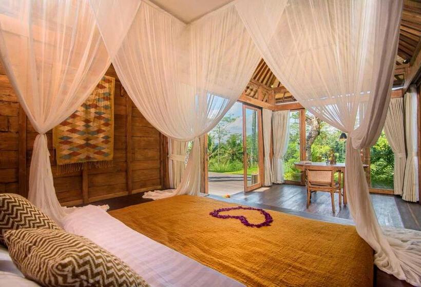 高级套房, Dewi Tara Haven