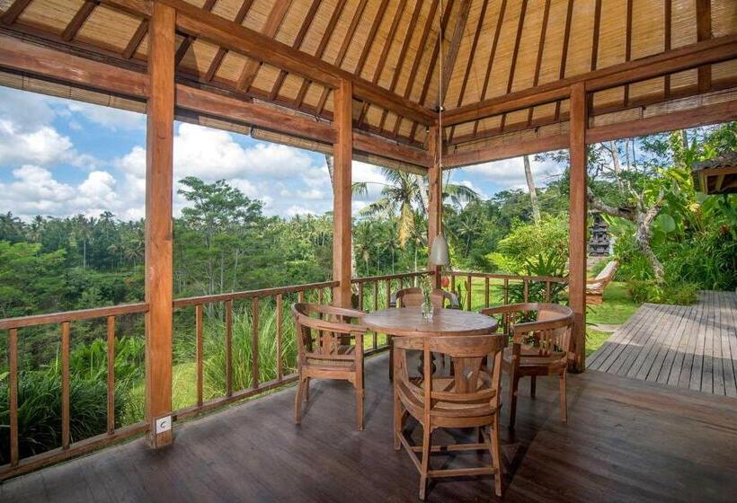 高级套房, Dewi Tara Haven