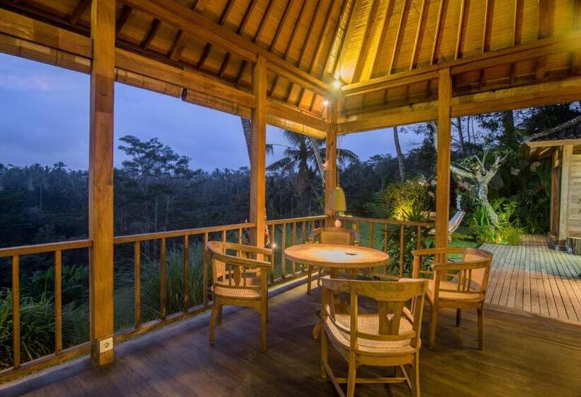 高级套房, Dewi Tara Haven