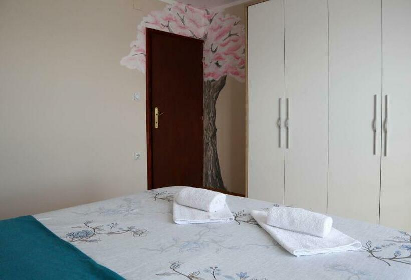 اتاق استاندارد با چشم‌انداز کوهستان, Domaćinstvo Sinđelić