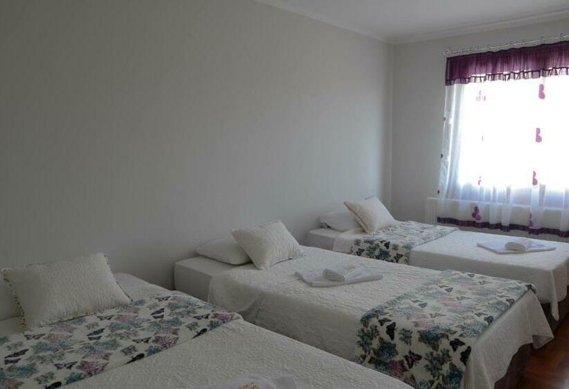 اتاق استاندارد سه نفره, Domaćinstvo Sinđelić