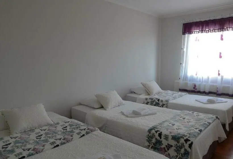 اتاق استاندارد سه نفره, Domaćinstvo Sinđelić