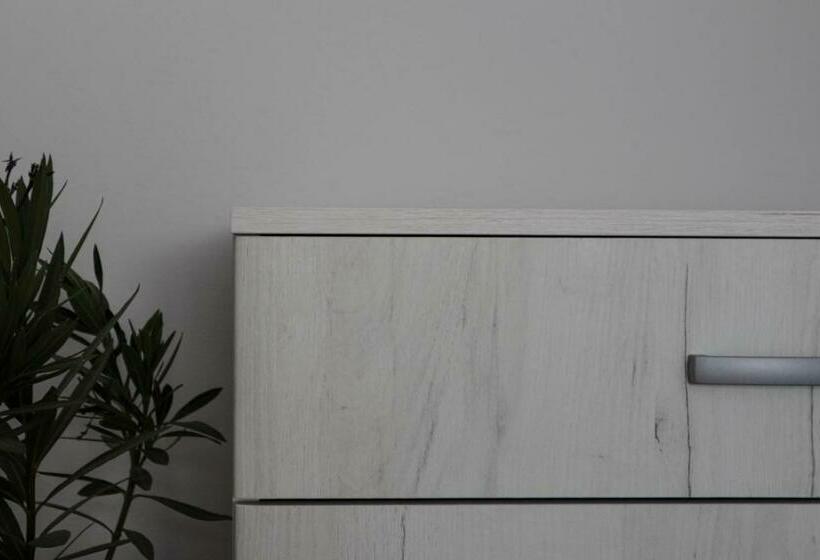 اتاق استاندارد سه نفره, Domaćinstvo Sinđelić