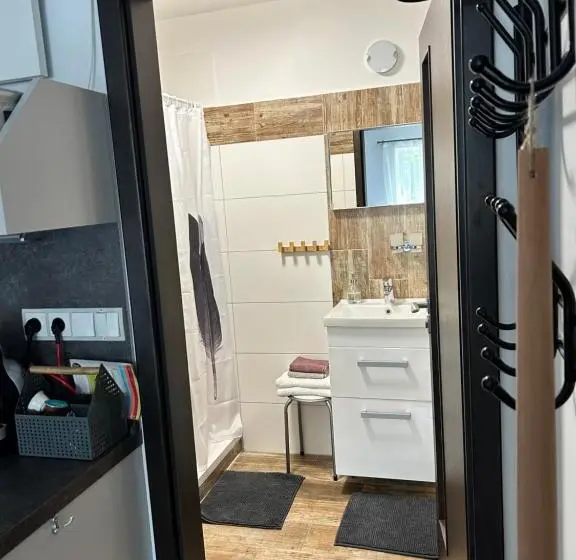 １ベッドルームアパートメント, Apartmány U Kuželky