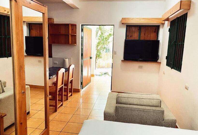 اتاق اکونومی, El Dragon