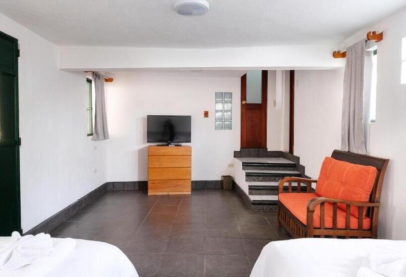 اتاق استاندارد, El Dragon