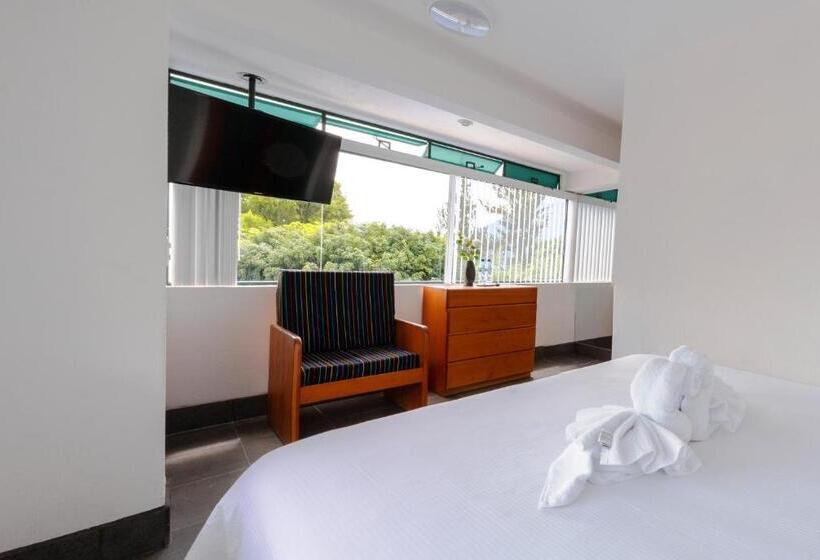 اتاق استاندارد, El Dragon